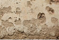 Walls Plaster